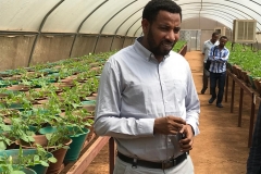 Geshaw leads greenhouses